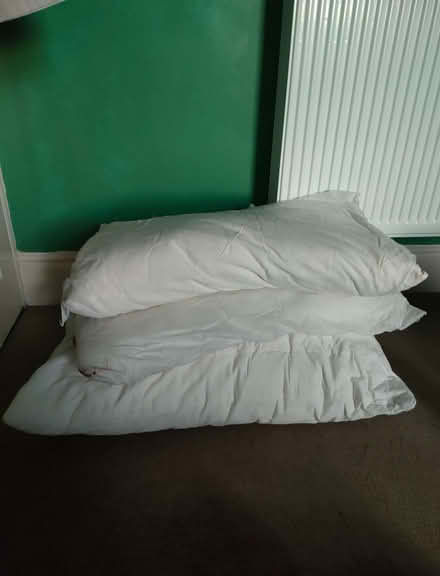 Photo of free 3 x pillows (Milton PO4) #1