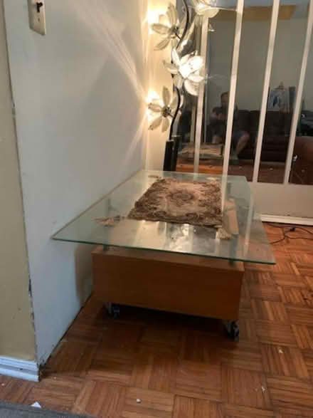 Photo of free stuff (South Brunswick) #4