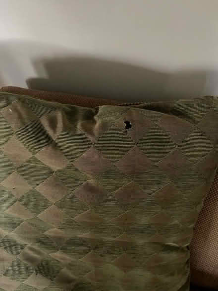 Photo of free Mission style couch (Ashburn Farm off Windmill Dr) #4