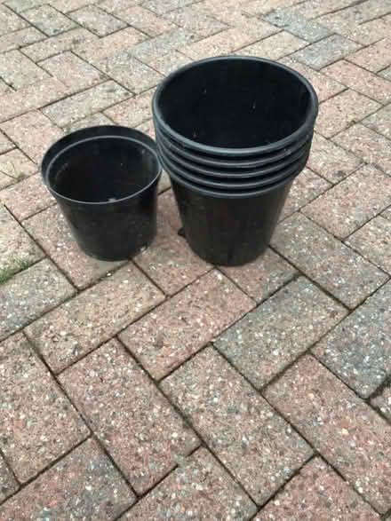 Photo of free 6 black plant pots (Bannockburn FK7) #1
