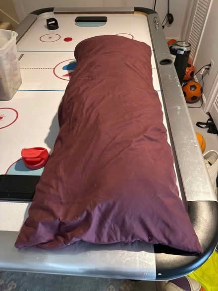 Photo of free Body pillow with several covers (Palisades, NW, WDC) #1
