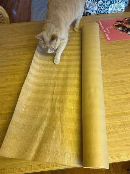 Photo of free Seagrass wallpaper roll (East Hollywood) #1