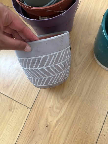 Photo of free Pots miscellaneous (N17 - Bruce Grove) #3