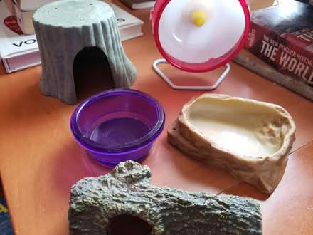 Photo of free Mouse House things (Toronto m6n 2n4) #1