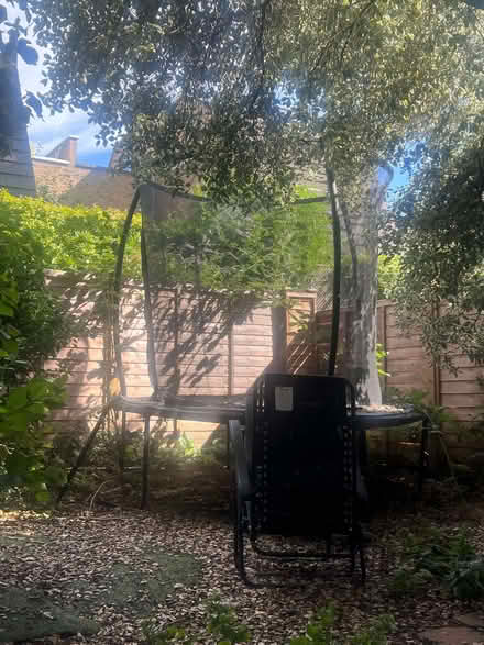 Photo of free Trampoline (Camden Square NW1) #1