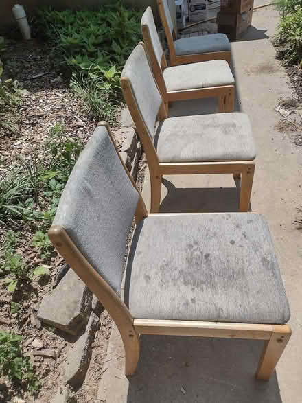 Photo of free set of four chairs (Hampstead) #1