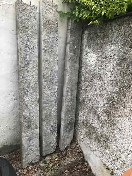 Photo of free Cement slabs and bricks (Churchtown Dublin 14) #1