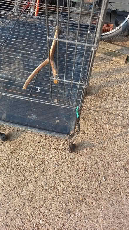 Photo of free Bird cage (Duckmanton S44) #2