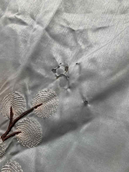 Photo of free Old comforter, Queen sized (48103 near Dicken school) #4