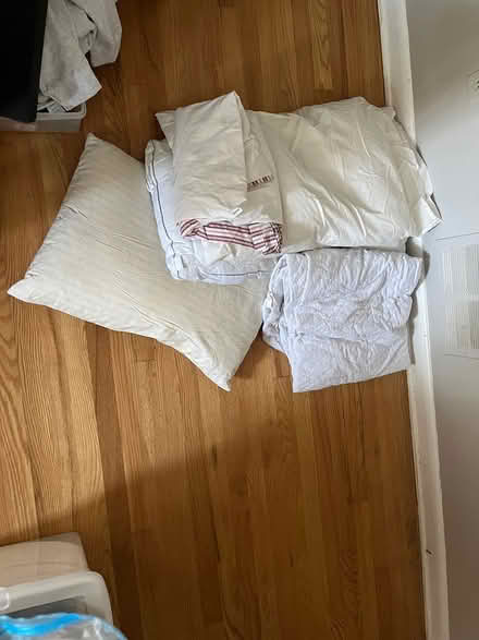 Photo of free Pillows/pillow cases (Upper NW DC) #1