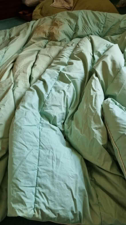 Photo of free Double duvet (Upper Weston, Bath) #1