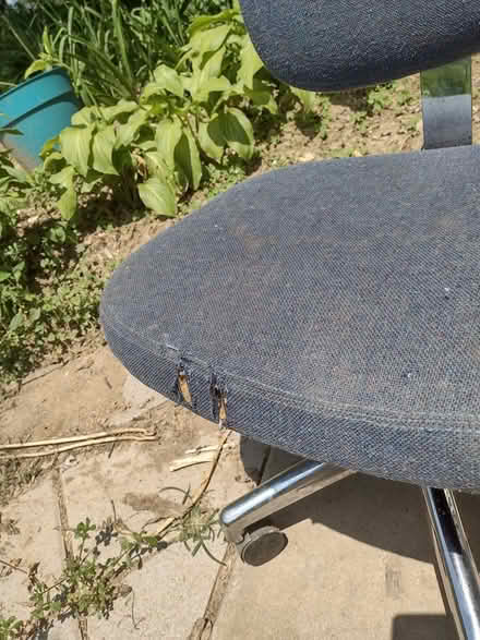 Photo of free office chair (Hampstead) #3