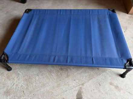Photo of free Large raised dog bed (Willington DE65) #1