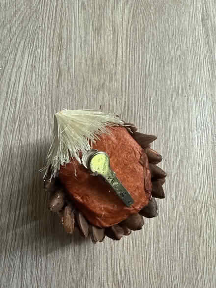 Photo of free Hedgehog clip (Oswestry SY11) #2