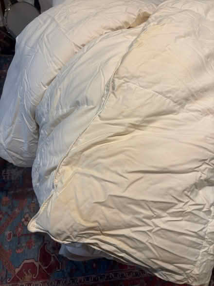 Photo of free Down Comforter - Twin Size (Brookland) #3