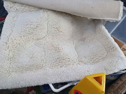 Photo of free Thick Floor Rug 5ft 3in x 3ft 11in (Booker HP12) #1