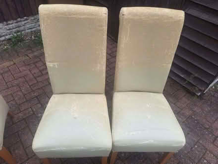 Photo of free Dining room chairs (Chaddesden DE21) #2