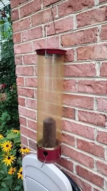 Photo of free Bird feeder (20876) #1