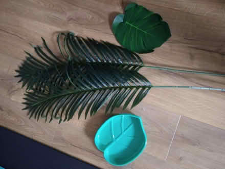 Photo of free Jungle theme decorations (Caversham RG4) #1