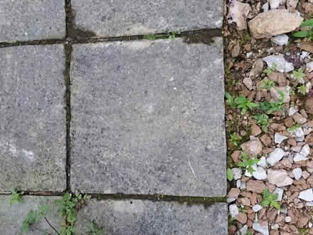 Photo of free Paving flags approx 13 plus bits (Heswall) #2