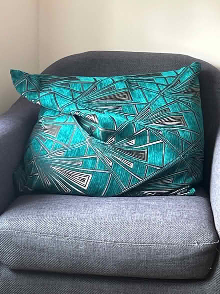 Photo of free Large blue pillow (Park street st albans AL2) #1