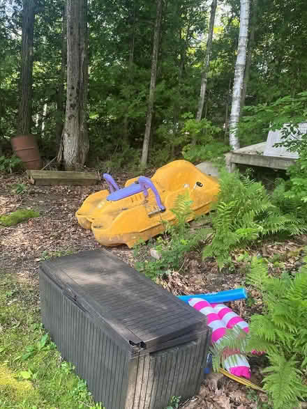 Photo of free pedal boat (Gleneagle, Chelsea) #2