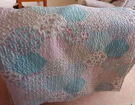 Photo of free Single quilted bedspead (Pangbourne RG8) #1