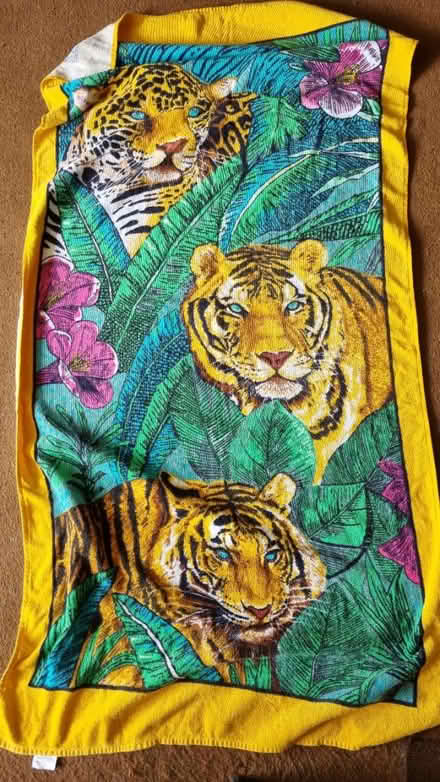 Photo of free Large towel (Upper Weston, Bath) #1