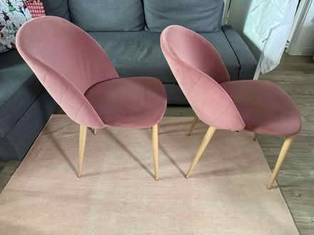Photo of free 2 suede pink dinning chair (CR0) #3