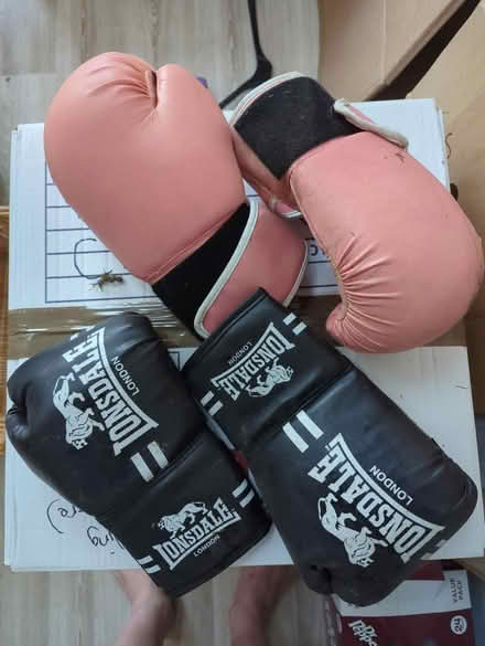 Photo of free Boxing/sparring gloves (WA6 Helsby) #1