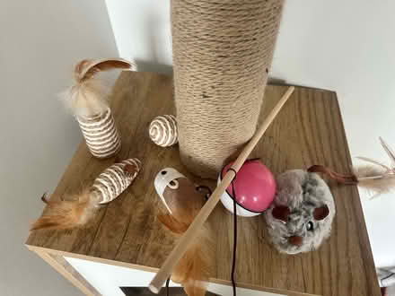 Photo of free Tall cat tree and cat toys (Woolwich) #1