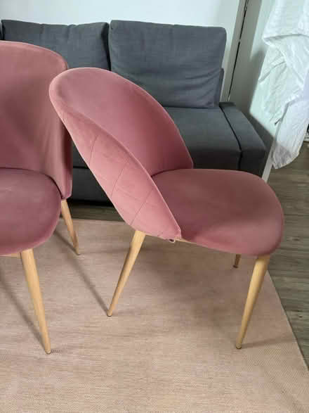 Photo of free 2 suede pink dinning chair (CR0) #2