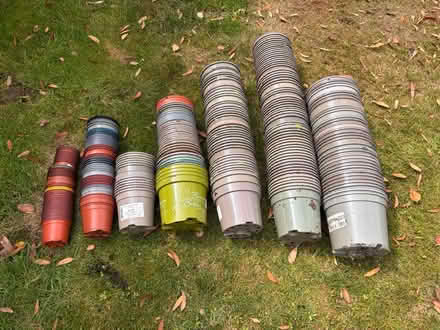 Photo of free Used Plant Pots (CH60) #1