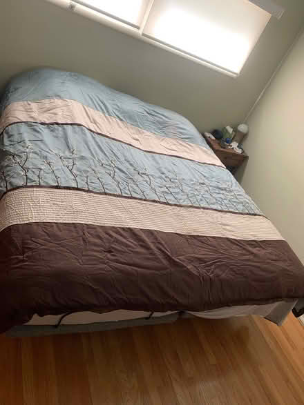 Photo of free Old comforter, Queen sized (48103 near Dicken school) #1