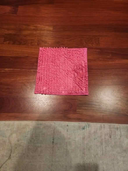 Photo of free Locker carpet (Downtown Wheaton) #1