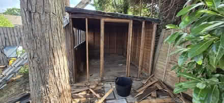 Photo of free Shed wood (GU52) #1