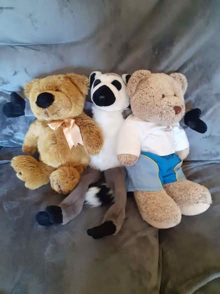 Photo of free Cuddly Toys (Nailsea BS48) #1