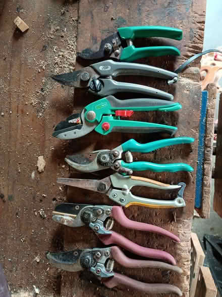 Photo of free Various types of secateurs - need some tlc (Bromham MK43) #1