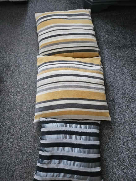Photo of free Cushions (Willaston CH64) #1