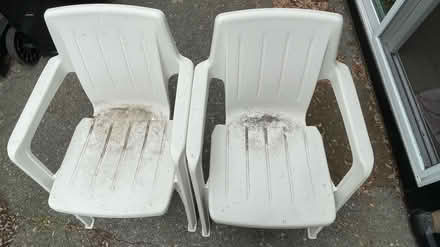 Photo of free 2 Plastic chairs (Fremont & 85) #1