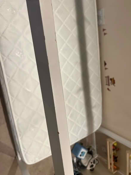 Photo of free Single house bed (East Peckham TN12) #3