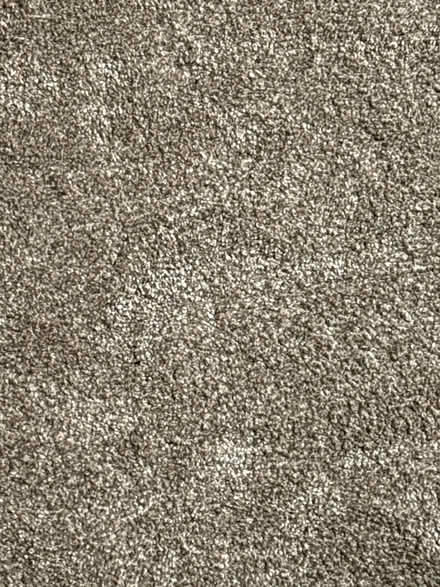 Photo of free Wall to wall carpet and padding (Coventry, CT) #2