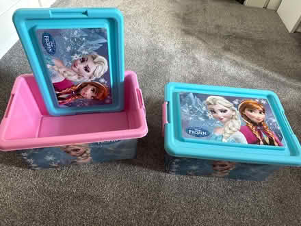 Photo of free Frozen storage box (Sanderstead) #1