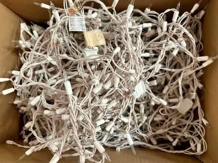 Photo of free White outdoor lights (Davis Square, Somerville) #1