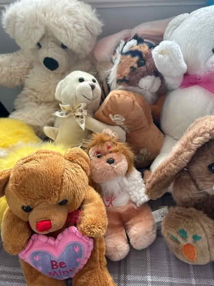 Photo of free Soft toys (Aberdeen AB16) #2