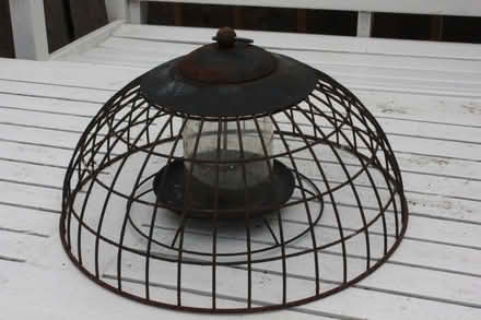 Photo of free Ground Bird Feeder (Leechmere SR2) #2