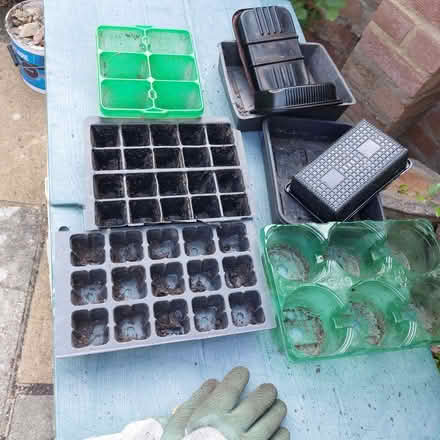 Photo of free selection of seed trays etc (Fords Farm RG31) #1