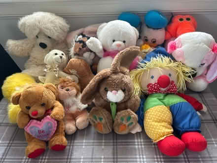 Photo of free Soft toys (Aberdeen AB16) #1