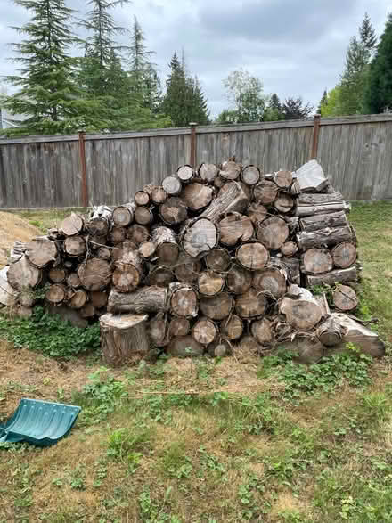 Photo of free fire wood (Edgewood WA) #1