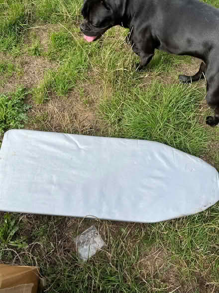 Photo of free Table top ironing board (Ipswich IP2) #1